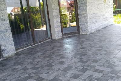 Casă cu 8 camere cu Teren 740 Mp în Mioveni - 2