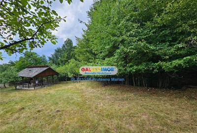 Teren 2680 m situat la Curtea de Arges cu iesire spre Trans - 8