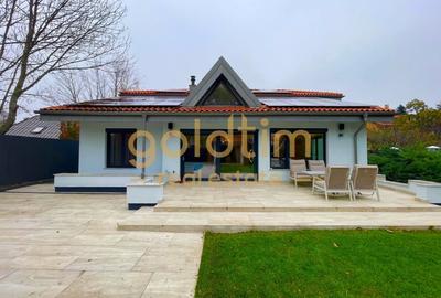 UNICA/ABSOLUT SUPERBA/ VILA INDIVIDUALA/IANCU NICOLAE/CURTE GENEROASA - 97