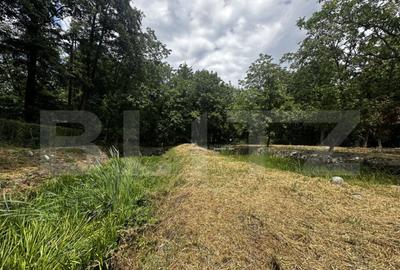 Teren, 12 000 mp, zona Crasna - 5