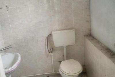 Casă cu Teren 3000 Mp în Checea - 5