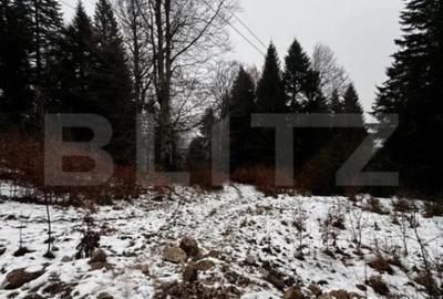 Teren de 4000 mp, în Calea Moroieni - 2