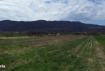 Teren de 6581 mp, în Central - 2