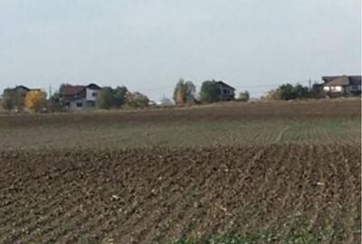 Spațiu comercial, în Căciulați - 6