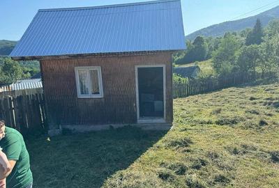 Casă cu Teren 1642 Mp în Greșu - 9