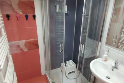 Apartament 2 camere - Stradal Octavian Goga - mobilat si utilat - 21
