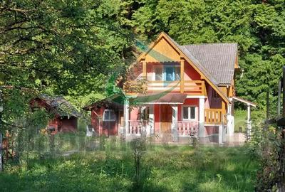 Casuta din Povesti, Baita, 1332 mp teren intravilan, la liziera padurii - 3