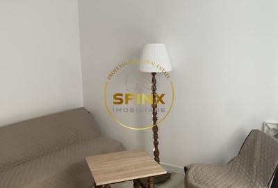 STUDIO DUBLU COCHET, PRIMA INCHIRIERE - 9