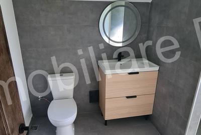 Casă cu 4 camere cu Teren 2435 Mp în Arefu - 12