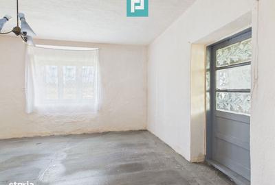 Casă cu 4 camere cu Teren 6000 Mp în Central - 11