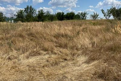 Teren de 3800 mp, în Nord