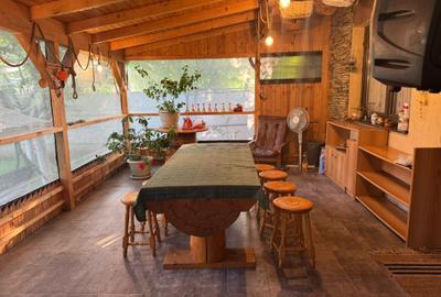 Vila 4 camere de închiriat zona Băneasa Voluntari - 9