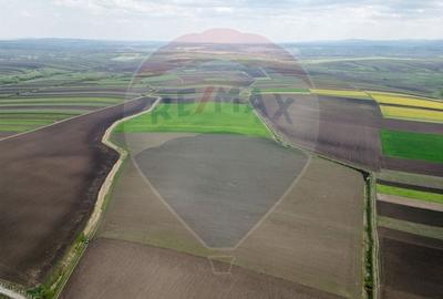 Teren 86,000mp Suceava / DN 17 - 3