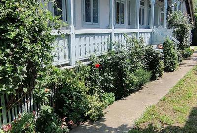 Vand casa cu teren la tara - 5