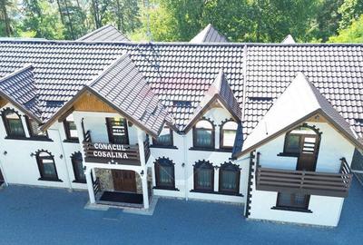 Pensiune de vanzare in Sovata Conacul Cosalina - 19