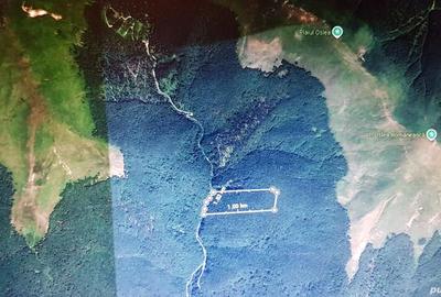 Teren de 120000 mp, în Motru Sec - 2