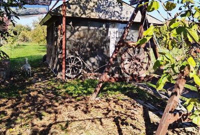 Teren 1362 mp + anexe - 2