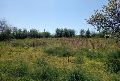 Casă cu 2 camere în Rălești - 7