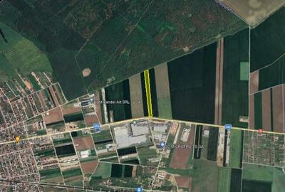 Teren de 21500 mp, în Brănești - 8