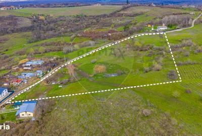 Spațiu comercial, în Valea Orlei - 12