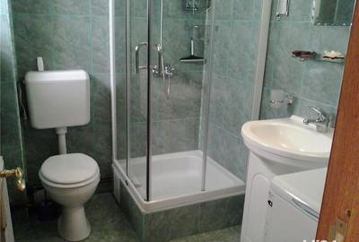 Casă cu 2 camere în Banat - 2