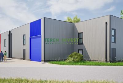 Hala de depozitare - zona Theodor Pallady - 11