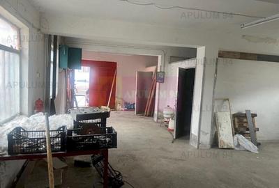 Spatiu productie Cornetu- central - 11