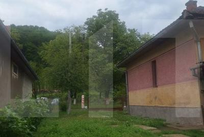 Casă cu 4 camere cu Teren 3745 Mp în Nădrag - 2