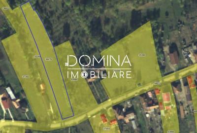 Teren Construcții intravilan de 2948 mp, în Tismana - 5