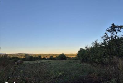 Casă cu 3 camere cu Teren 4820 Mp în Telești - 5