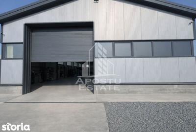 Spațiu comercial, de 350 mp, în Lipovei - 4