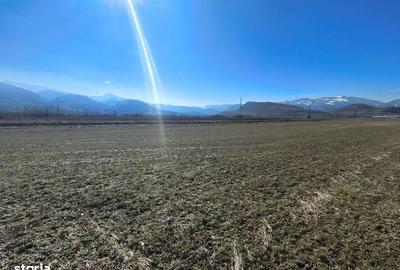 Teren de 2800 mp, în Turnu Roșu - 14