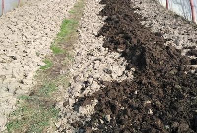 Casă cu 4 camere în Petid - 7