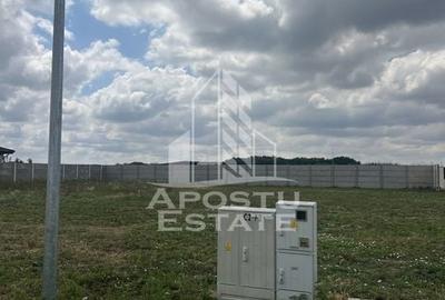 Teren Ghiroda cartier Bistra - toate utilitatile - 2