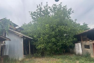 Casa recent renovata, 2023 mp teren, comuna Leu - 10