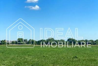 Teren agricol extravilan de 8782 mp, în Arhitecților - Calea Cisnădiei - 1