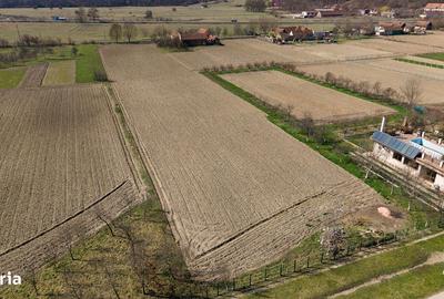 Spațiu comercial, în Remetea Mică - 18