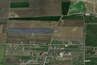 Teren de 400 mp, în Pruni - 1