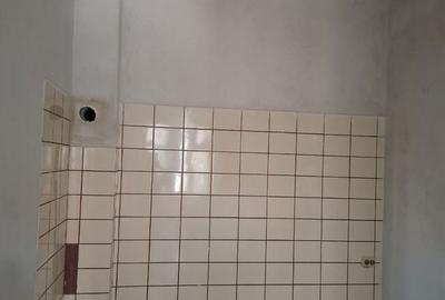 Casă cu 2 camere cu Teren 400 Mp în Exterior Vest - 2