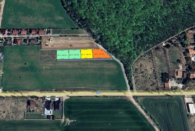 Teren în Snagov - 4