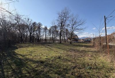 Spațiu comercial, în Peștișani - 13