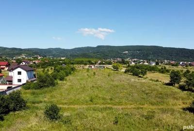 Teren de 4600 mp, în Bujoreni - 6