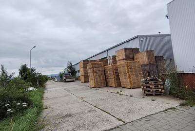 Hala productie+teren la DN, pentru vanzare sau inchiriere - 6