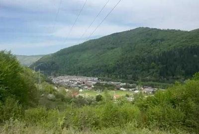 Teren de 10000 mp, în Exterior Vest