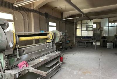 Casă individuală cu 10 camere cu Canalizare în Crângași - 11