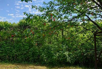 Casă individuală cu 5 camere cu Teren 605 Mp în Exterior Est - 14