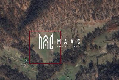 Teren agricol extravilan de 20000 mp, în Stoenești - 16