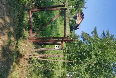Teren de 601 mp, în Breaza de Sus - 4