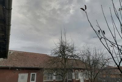 Casă cu 5 camere în Mureșeni - 1