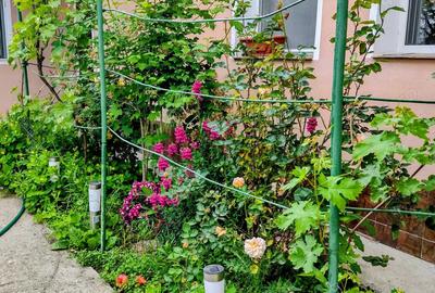 Oportunitate! Proprietate in judetul Arges cu condi?ii de ora? - 4